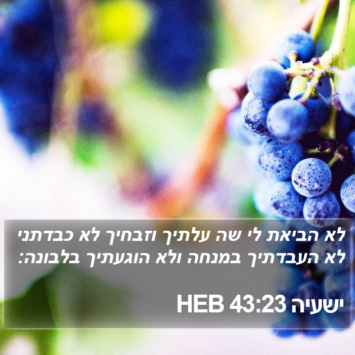 ישעיה 43:23 HEB Bible Study