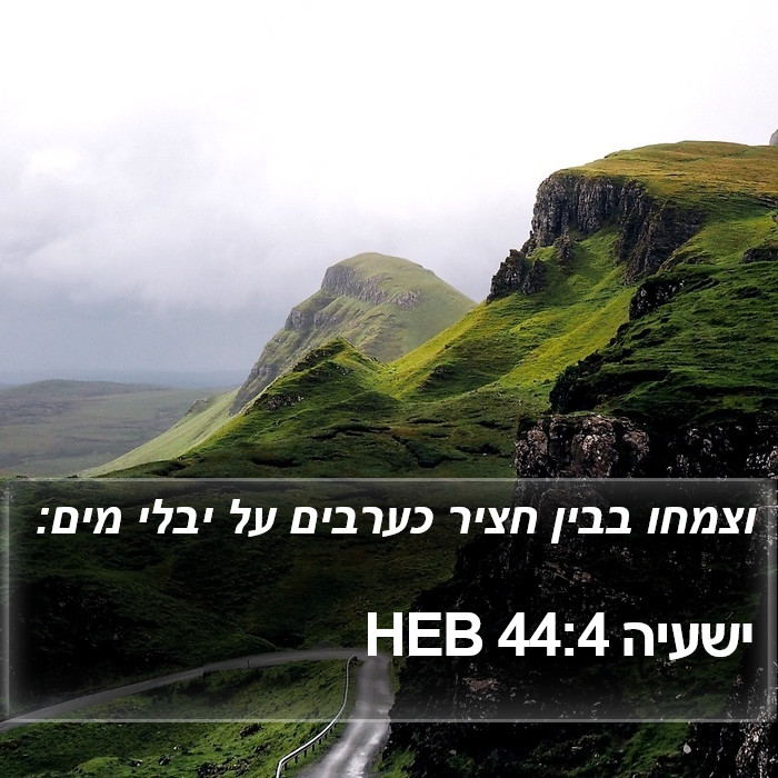 ישעיה 44:4 HEB Bible Study