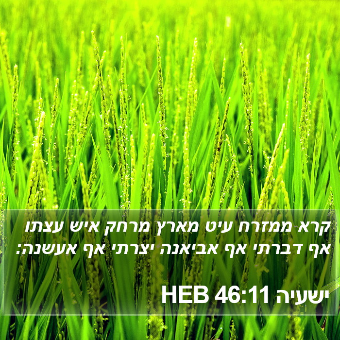 ישעיה 46:11 HEB Bible Study