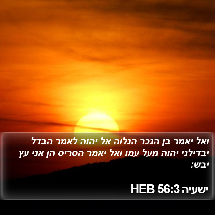 ישעיה 56:3 HEB Bible Study