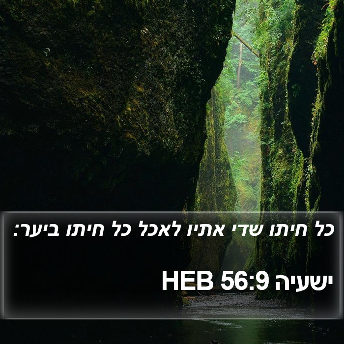 ישעיה 56:9 HEB Bible Study