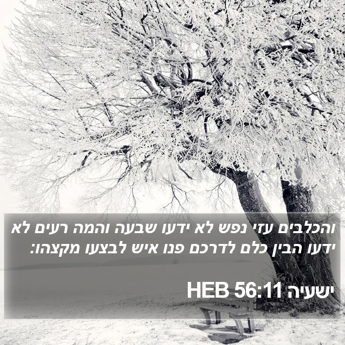 ישעיה 56:11 HEB Bible Study