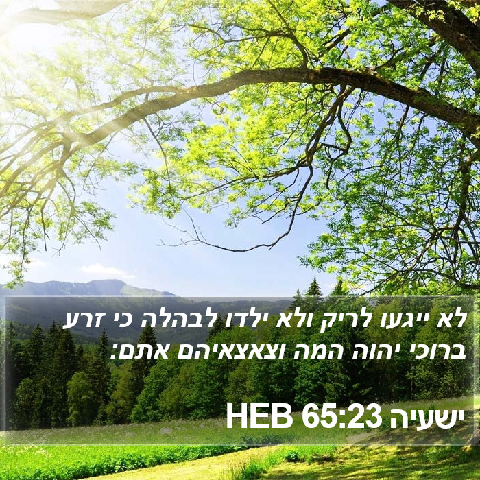 ישעיה 65:23 HEB Bible Study