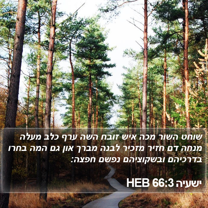 ישעיה 66:3 HEB Bible Study