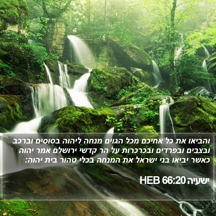 ישעיה 66:20 HEB Bible Study