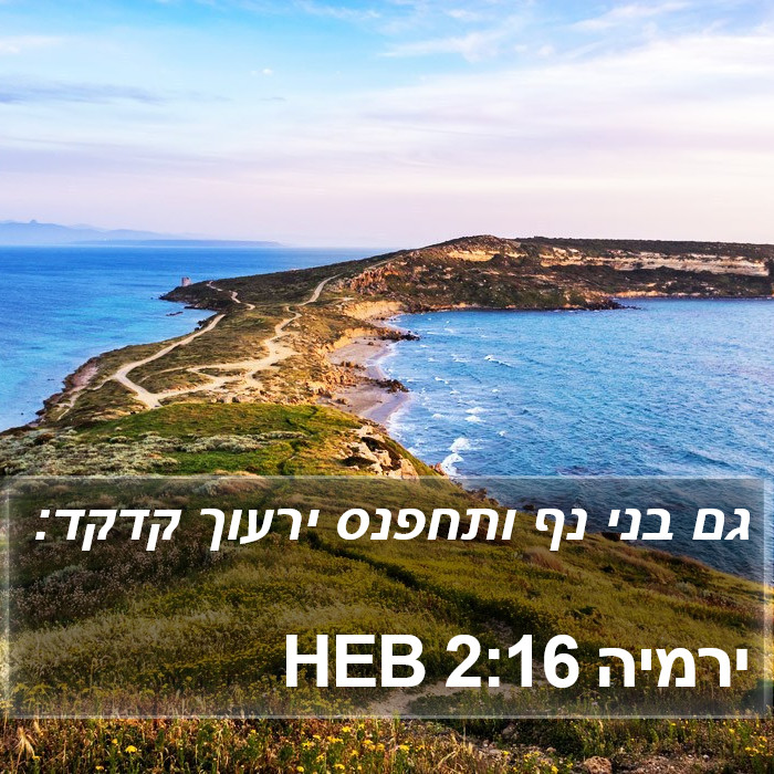 ירמיה 2:16 HEB Bible Study