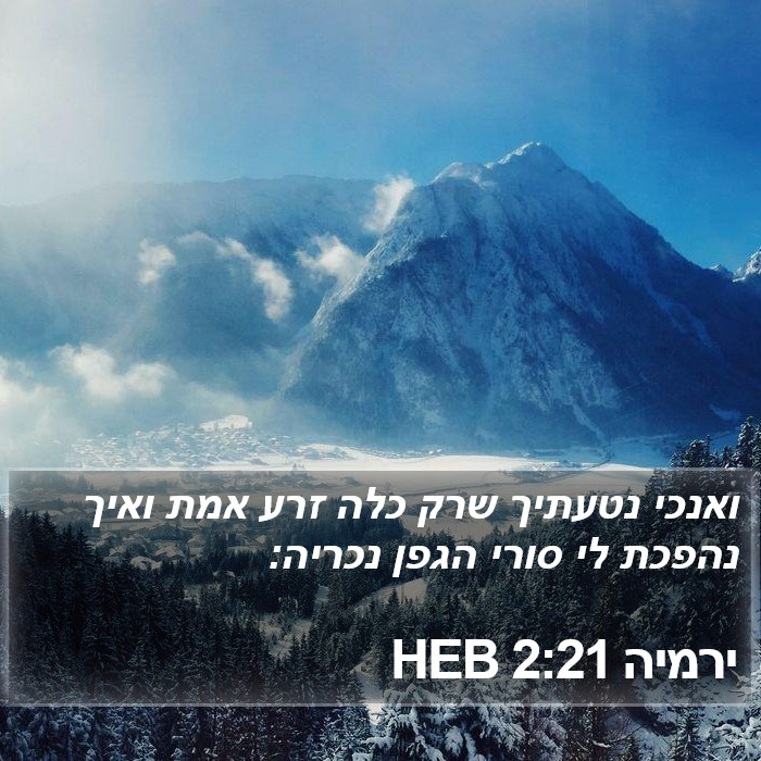 ירמיה 2:21 HEB Bible Study