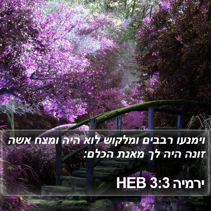 ירמיה 3:3 HEB Bible Study