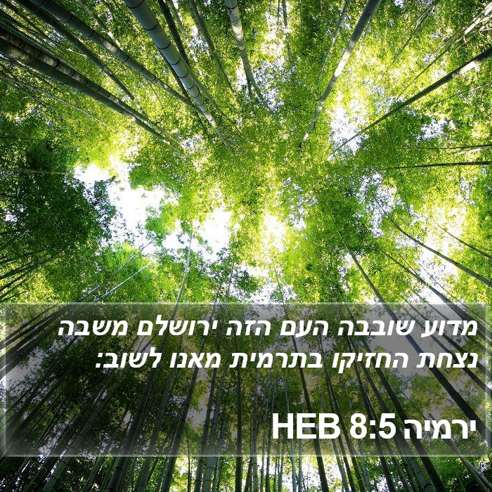 ירמיה 8:5 HEB Bible Study