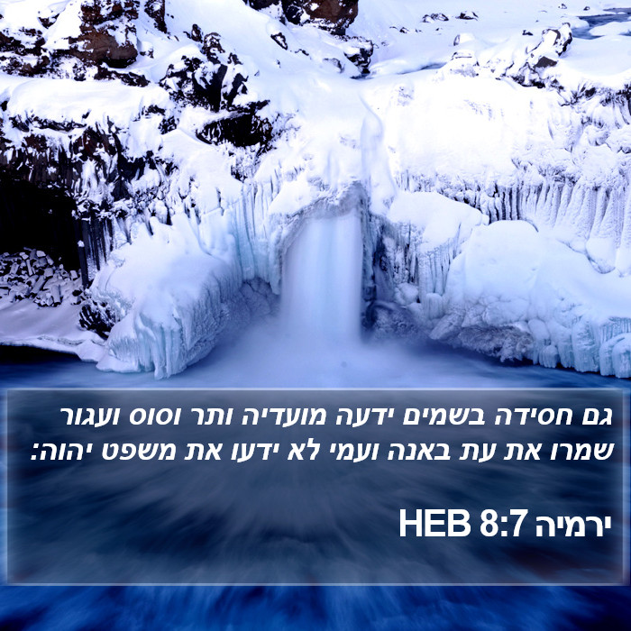 ירמיה 8:7 HEB Bible Study