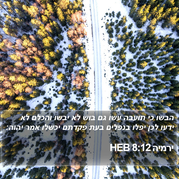 ירמיה 8:12 HEB Bible Study