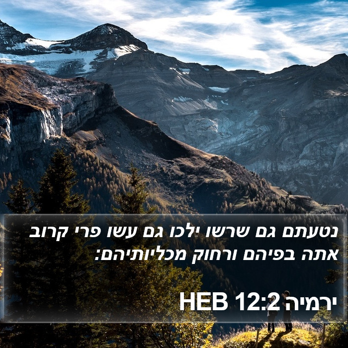 ירמיה 12:2 HEB Bible Study