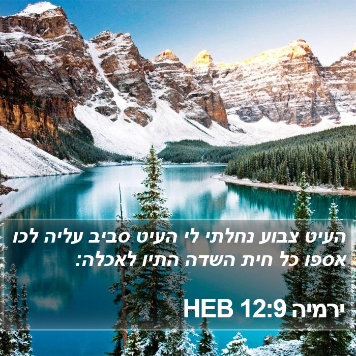 ירמיה 12:9 HEB Bible Study