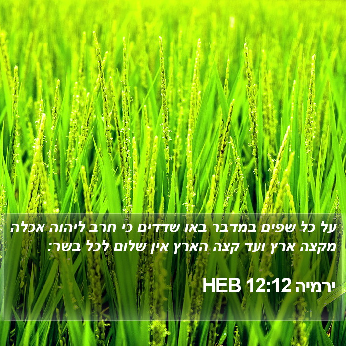 ירמיה 12:12 HEB Bible Study