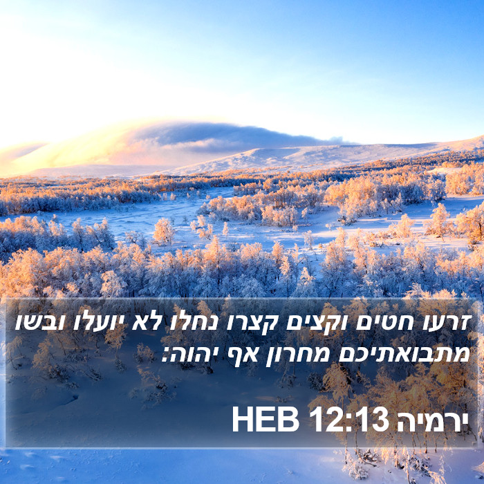 ירמיה 12:13 HEB Bible Study