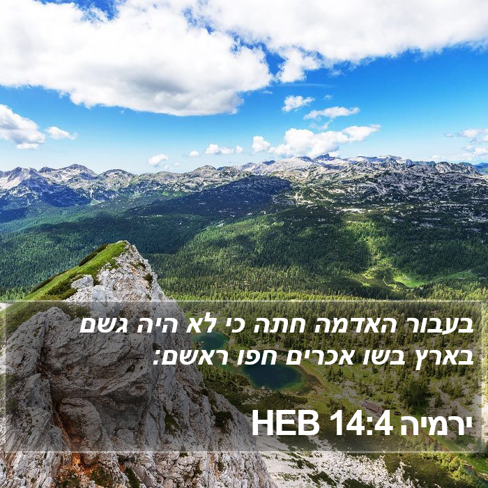 ירמיה 14:4 HEB Bible Study