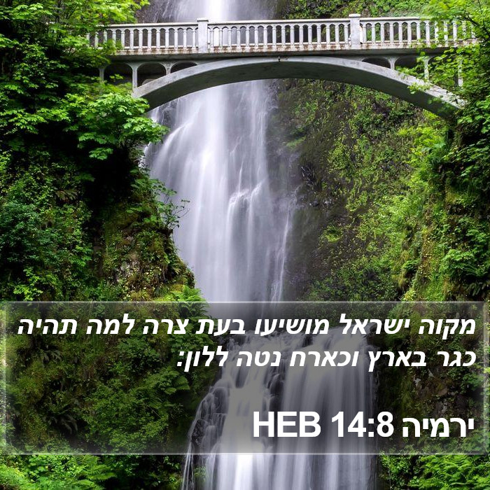 ירמיה 14:8 HEB Bible Study