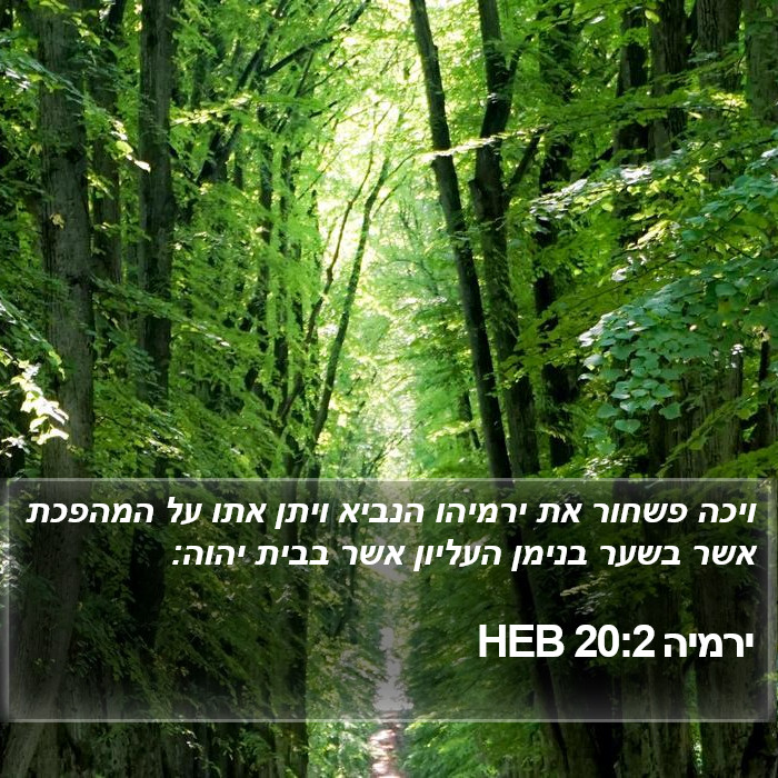 ירמיה 20:2 HEB Bible Study