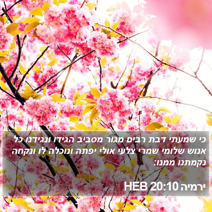 ירמיה 20:10 HEB Bible Study