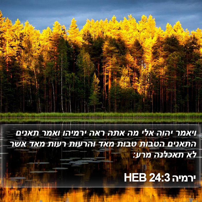 ירמיה 24:3 HEB Bible Study