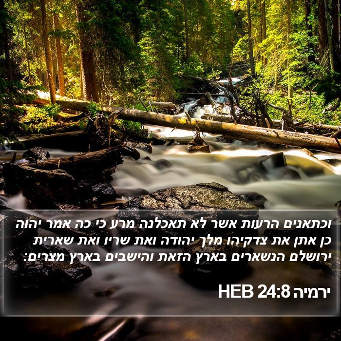 ירמיה 24:8 HEB Bible Study