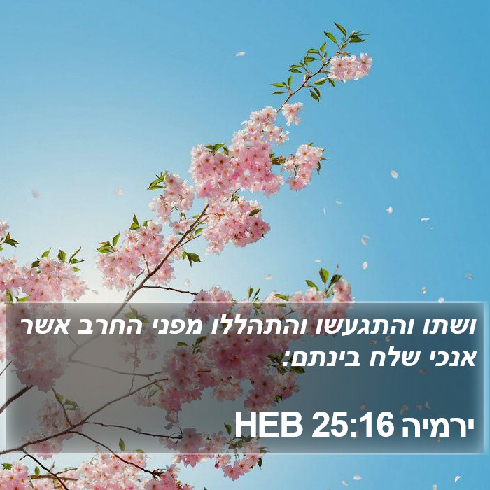 ירמיה 25:16 HEB Bible Study