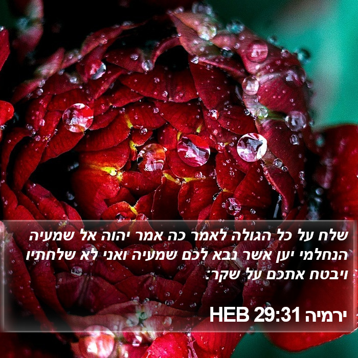 ירמיה 29:31 HEB Bible Study