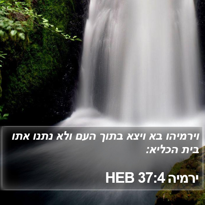 ירמיה 37:4 HEB Bible Study