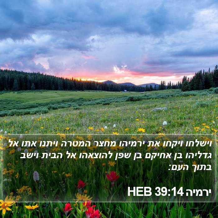 ירמיה 39:14 HEB Bible Study