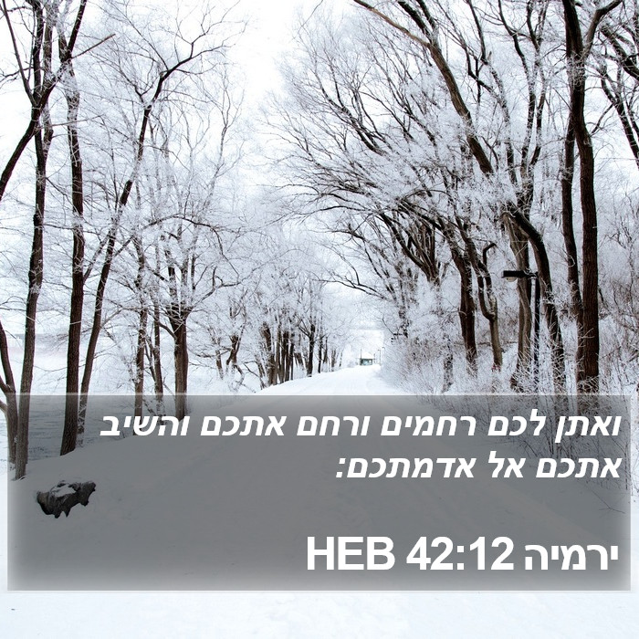 ירמיה 42:12 HEB Bible Study