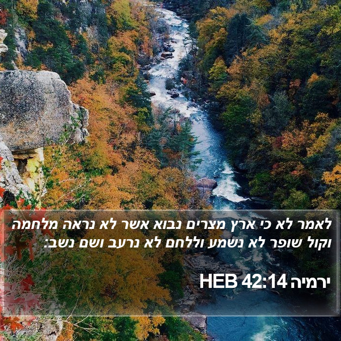 ירמיה 42:14 HEB Bible Study