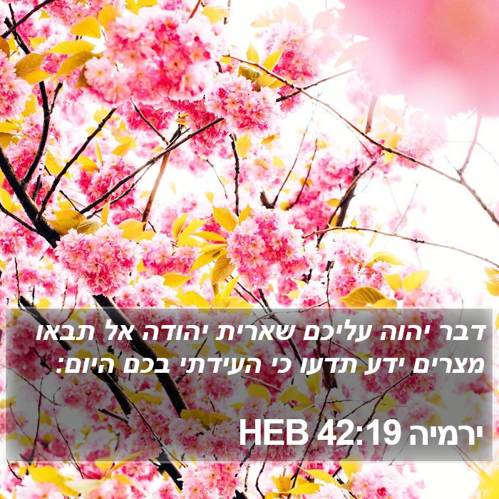 ירמיה 42:19 HEB Bible Study