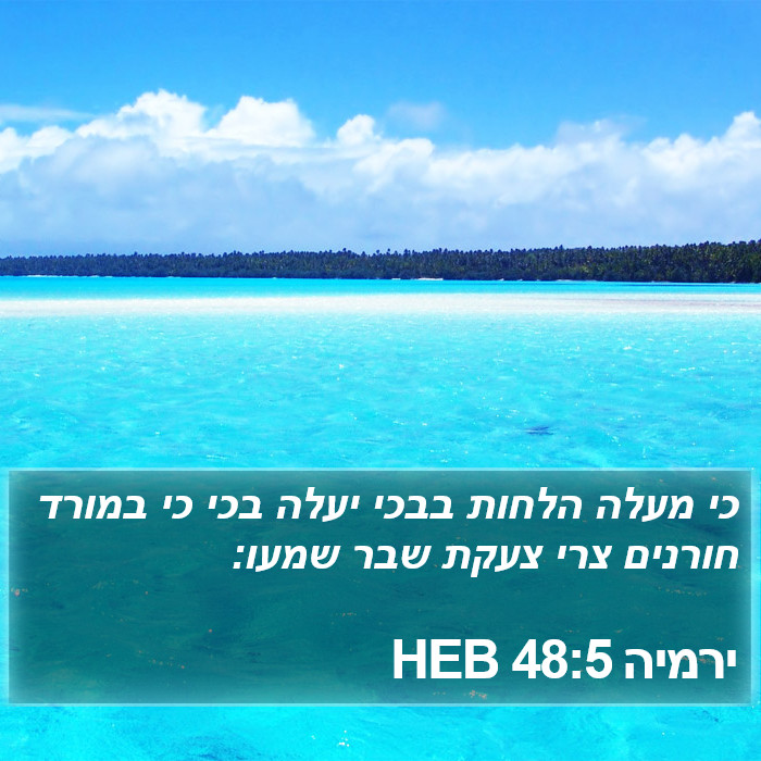 ירמיה 48:5 HEB Bible Study