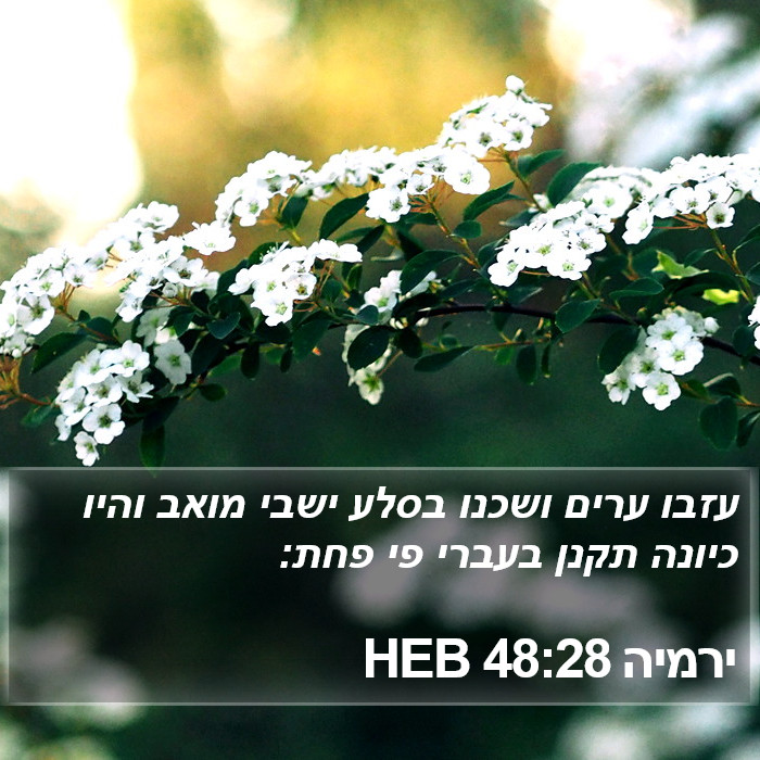 ירמיה 48:28 HEB Bible Study