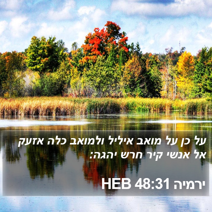 ירמיה 48:31 HEB Bible Study