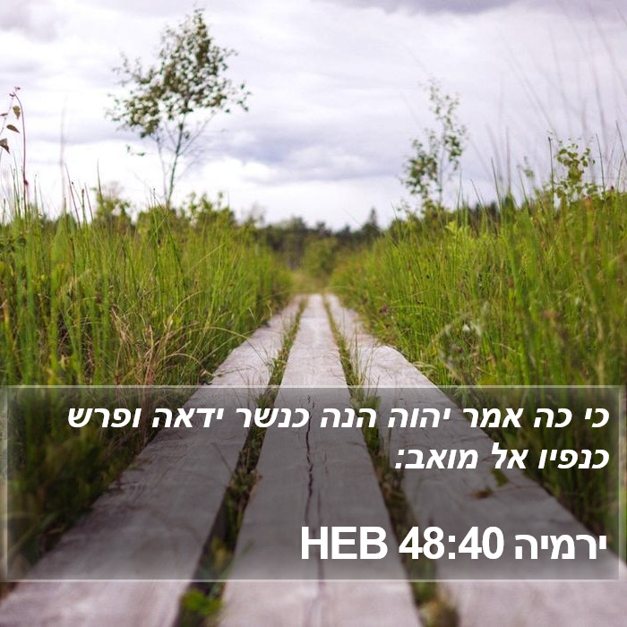 ירמיה 48:40 HEB Bible Study