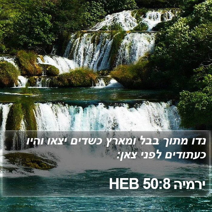 ירמיה 50:8 HEB Bible Study