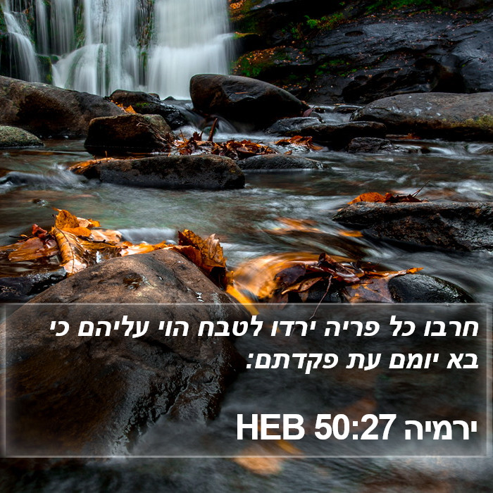 ירמיה 50:27 HEB Bible Study