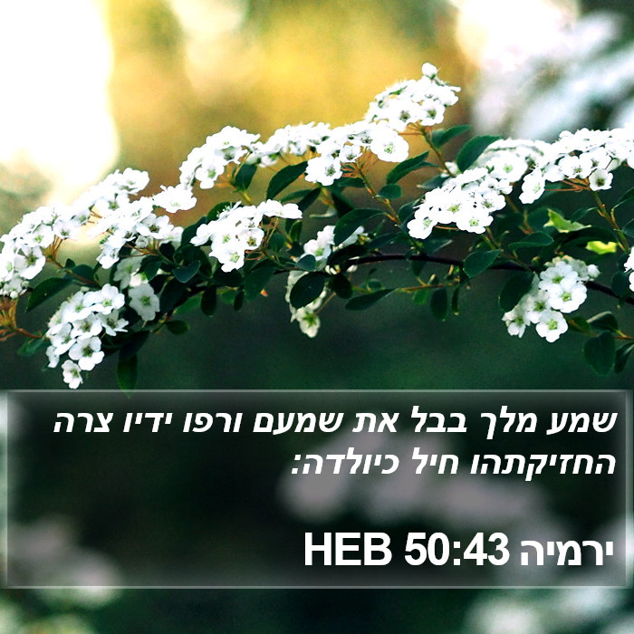 ירמיה 50:43 HEB Bible Study