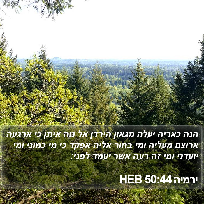 ירמיה 50:44 HEB Bible Study