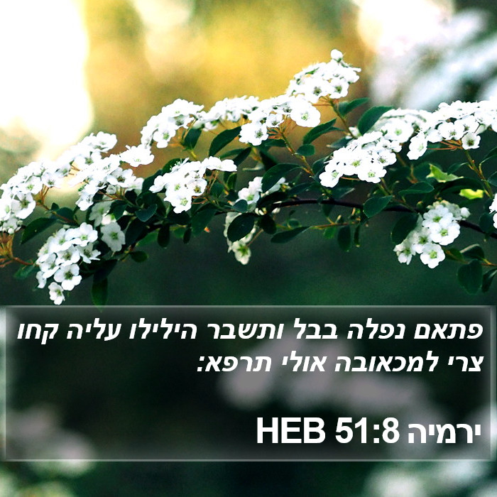 ירמיה 51:8 HEB Bible Study