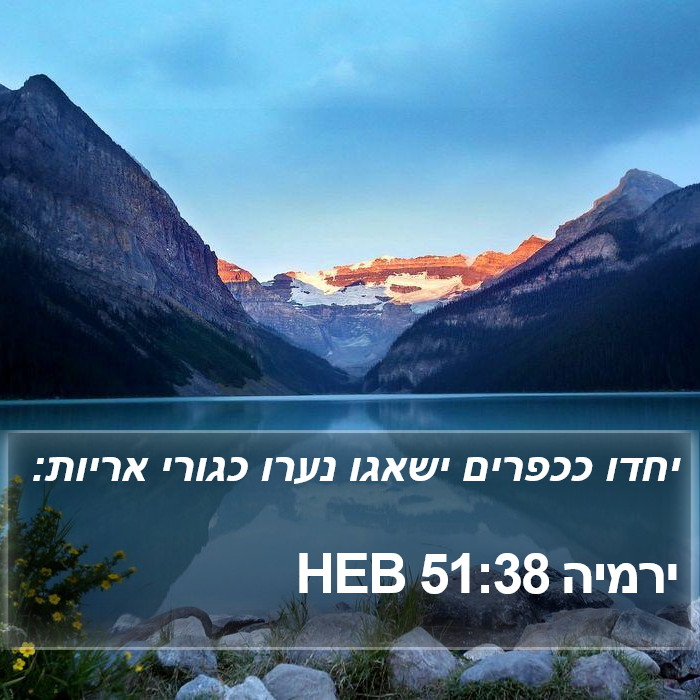 ירמיה 51:38 HEB Bible Study