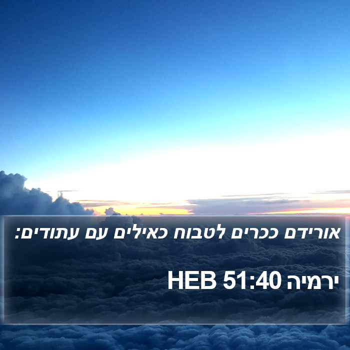 ירמיה 51:40 HEB Bible Study