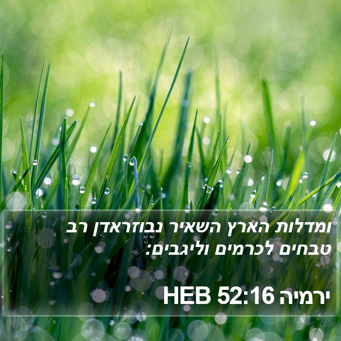 ירמיה 52:16 HEB Bible Study