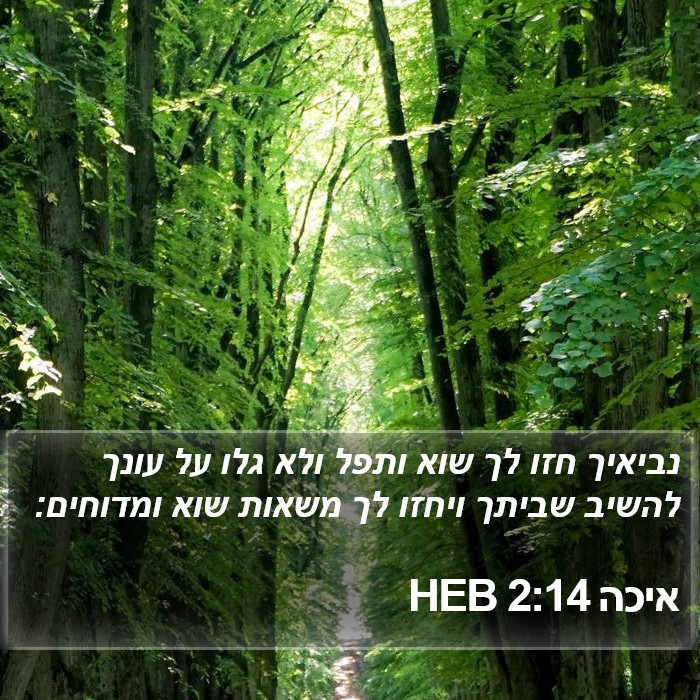 איכה 2:14 HEB Bible Study