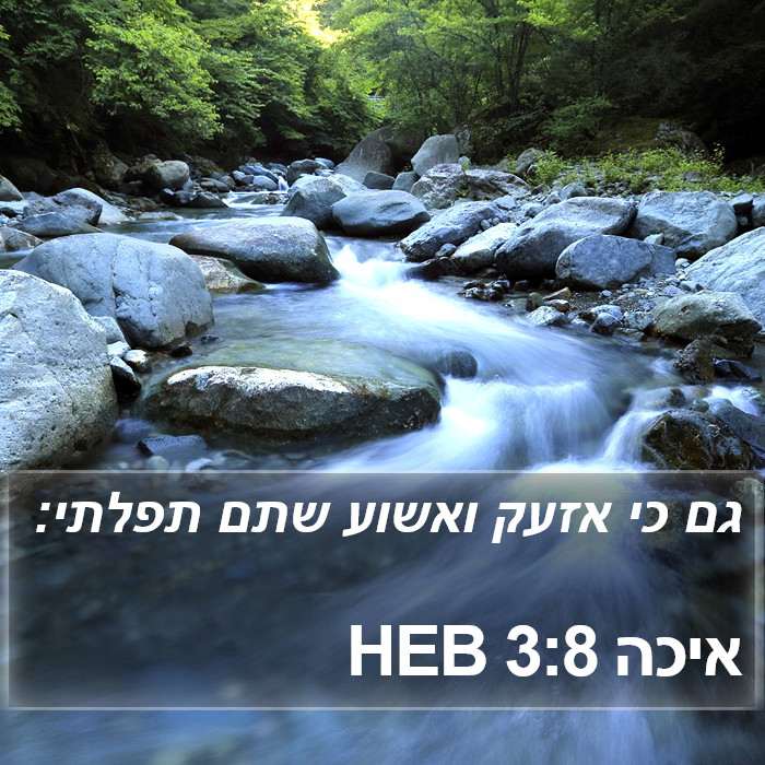 איכה 3:8 HEB Bible Study