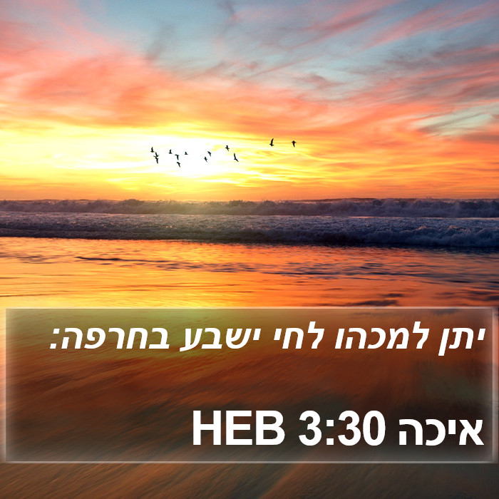 איכה 3:30 HEB Bible Study