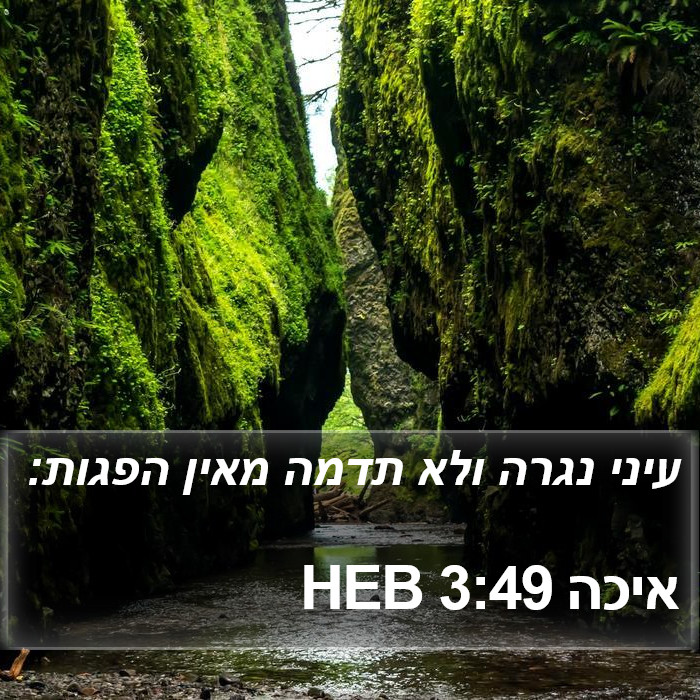 איכה 3:49 HEB Bible Study