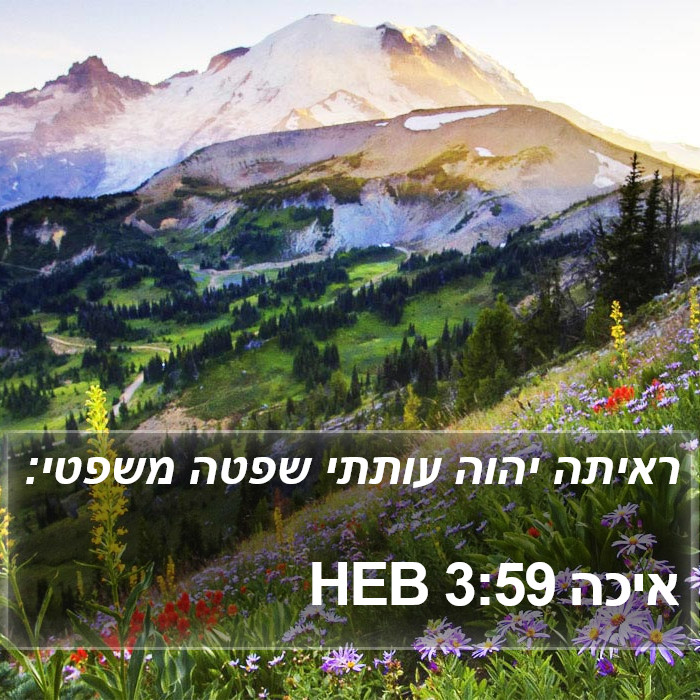 איכה 3:59 HEB Bible Study