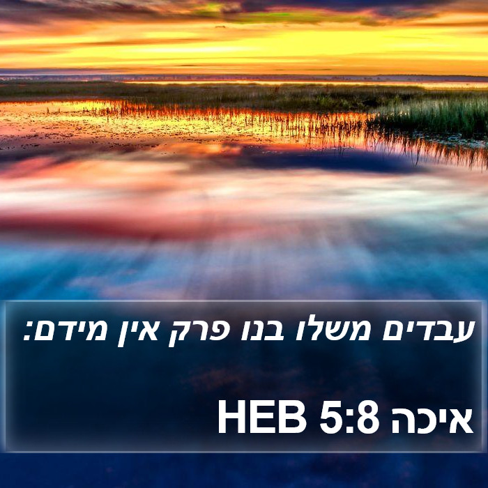 איכה 5:8 HEB Bible Study